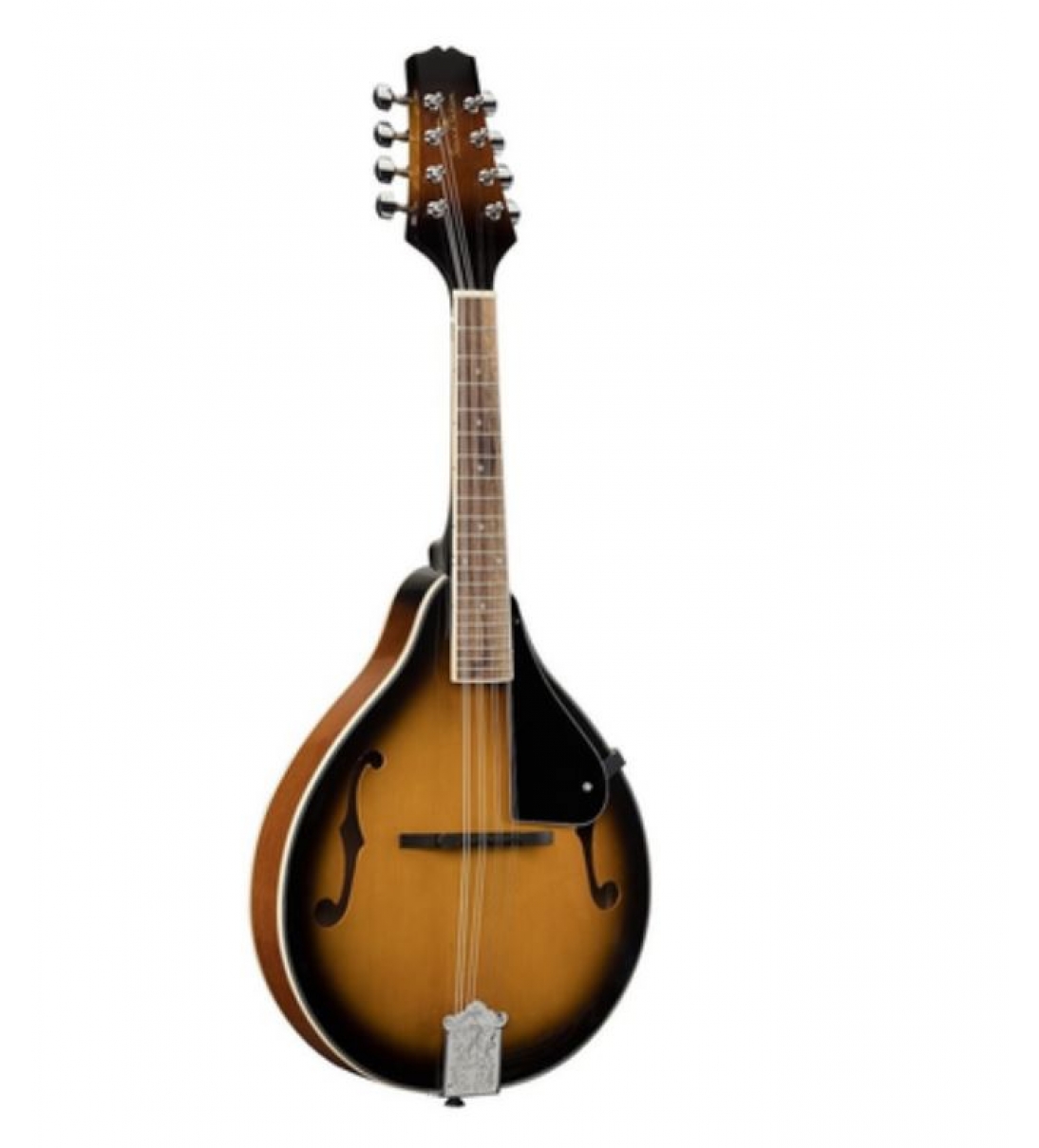 Bma-60 Vs mandolino bluegrass 23 tasti