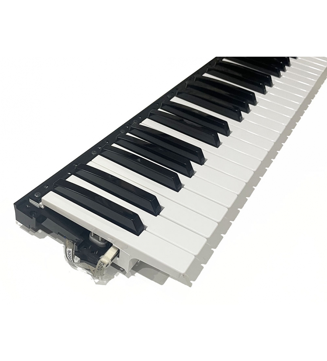 Gruppo tastiera per tastiera Korg a 61 note, è completa di piastre di contatto e strisce di contatto in gomma, Korg 510C80952903