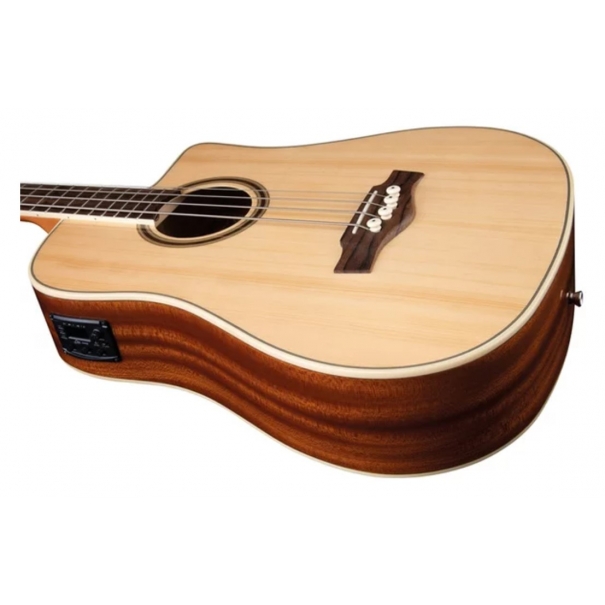 NXT B100ce Natural