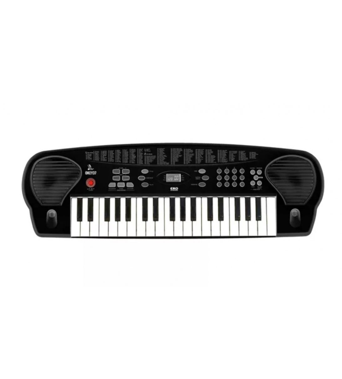 EKO KEYBOARDS Okey 37 + Bag e Alimentatore Omaggio!