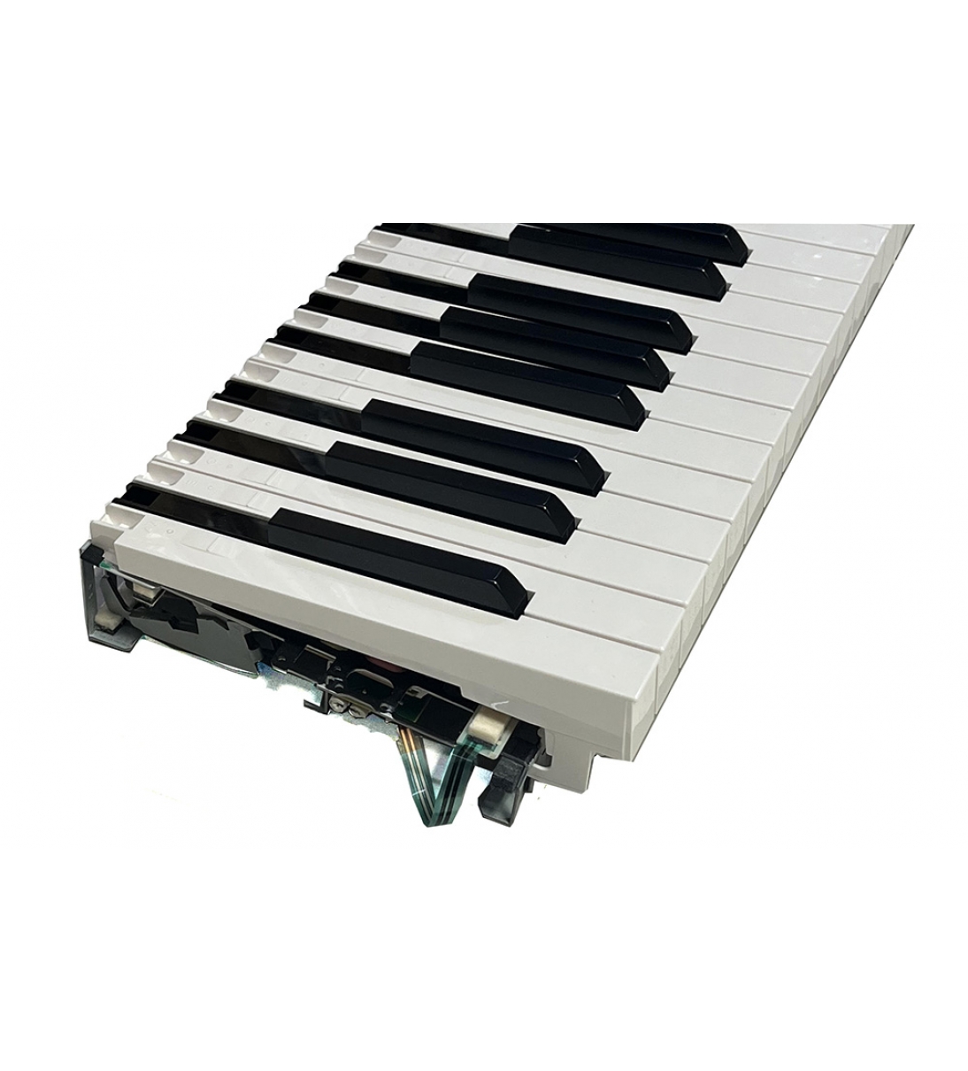 Tastiera per tastiera Korg a 88 tasti