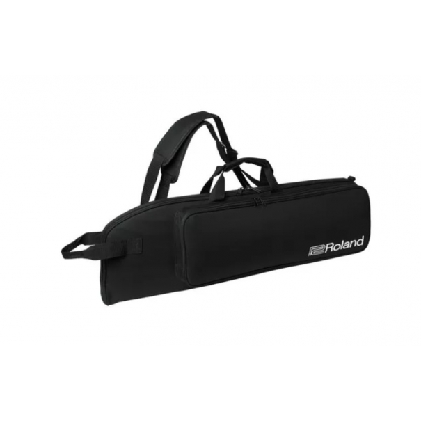 AE-30 Aerophone Pro