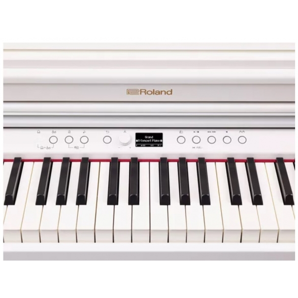 ROLAND RP-701 WH White