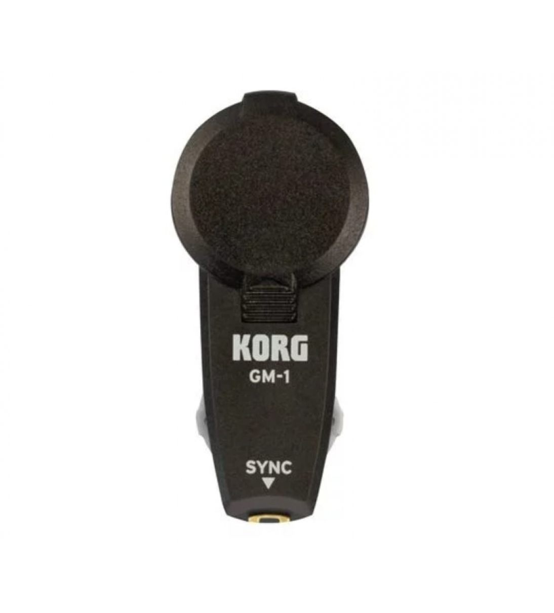 KORG GM-1