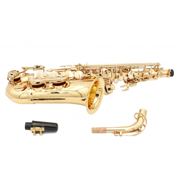 Sax Alto Finitura Laccata (Custodia Soft-Line)