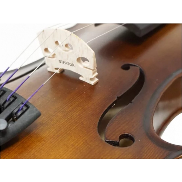 STENTOR Graduate Violin 4/4