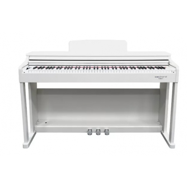 ECHORD DPX100 Satin White
