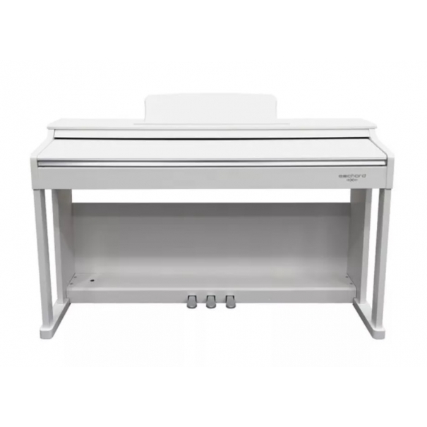 ECHORD DPX100 Satin White