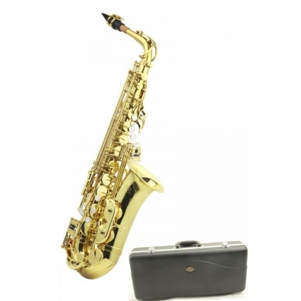 AL500N Sax Contralto in Mib [B012JM196581]