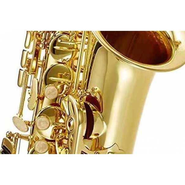 AL500N Sax Contralto in Mib [B012JM196581]