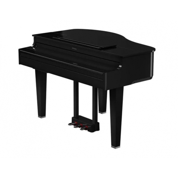 ROLAND GP-6 PE Gloss Black