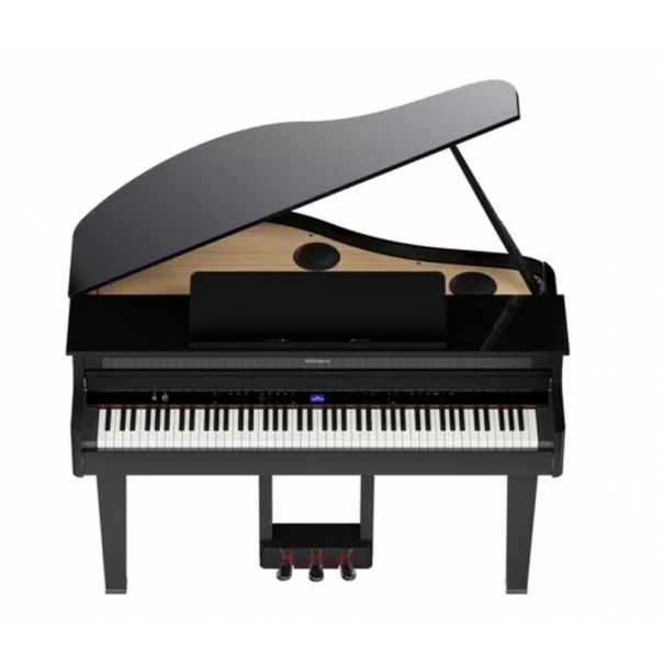 ROLAND GP-6 PE Gloss Black