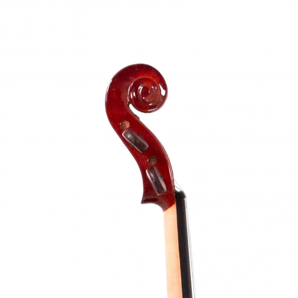 Violino 4/4 Massello "Accademy" Finitura Lucida, parti in Palissandro, Arco Superior, colofonia Rosin (Custodia Rettangolare ed Accessori)