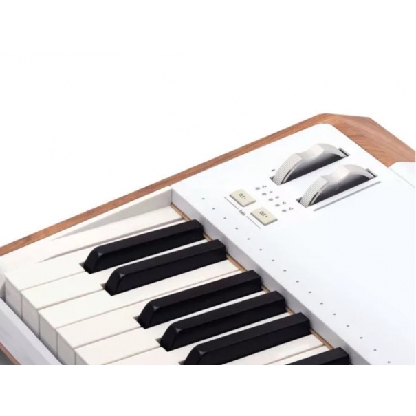 AstroLab 61 TASTIERA 61 TASTI PER PALCO E PRODUZIONE MUSICALE   [B029AR198801]