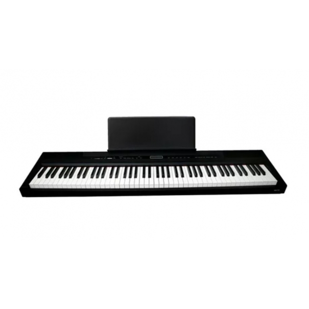ECHORD Bundle SP10 Black + Stand WS10