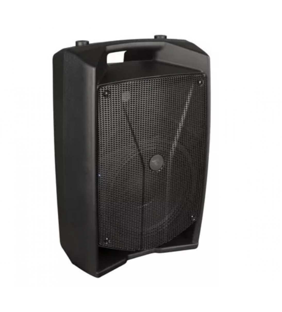 V10 Pro DIFFUSORE ATTIVO 600WATT 10"