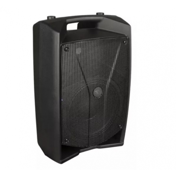 V10 Pro DIFFUSORE ATTIVO 600WATT 10"