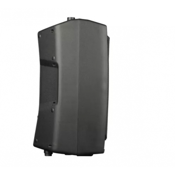 V10 Pro DIFFUSORE ATTIVO 600WATT 10"