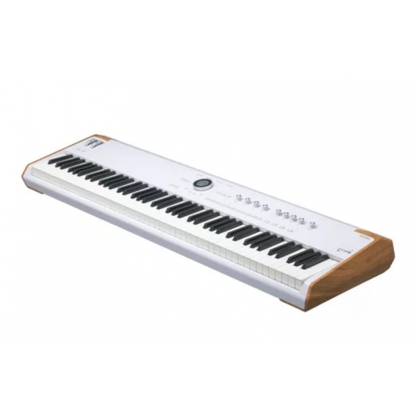 Astrolab 88 PIANO DIGITALE/ SINTETIZZATORE/CONTROLLER MIDI 88 TASTI PESATI