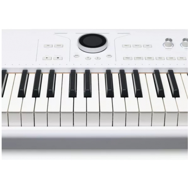 Astrolab 88 PIANO DIGITALE/ SINTETIZZATORE/CONTROLLER MIDI 88 TASTI PESATI