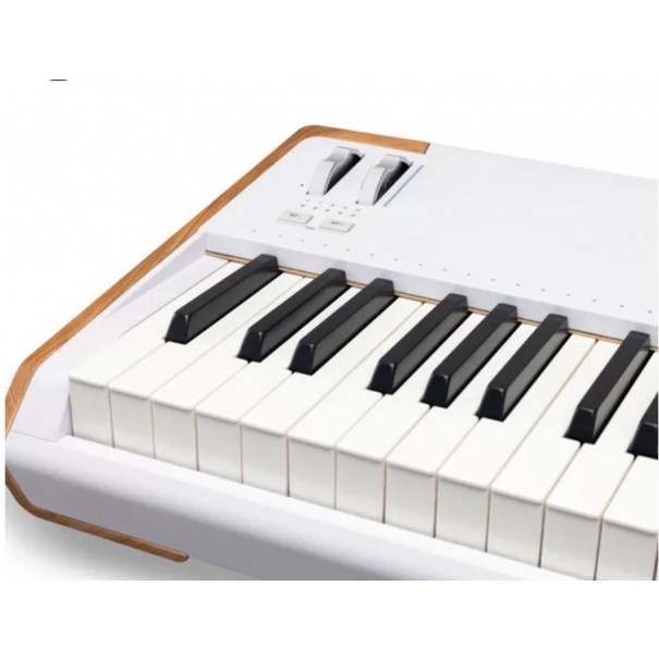 Astrolab 88 PIANO DIGITALE/ SINTETIZZATORE/CONTROLLER MIDI 88 TASTI PESATI