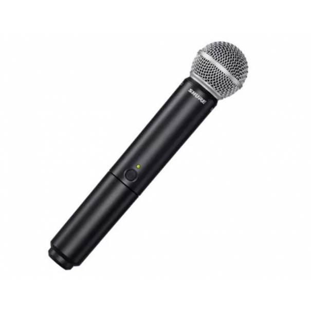 SHURE BLX288 / SM58 M17