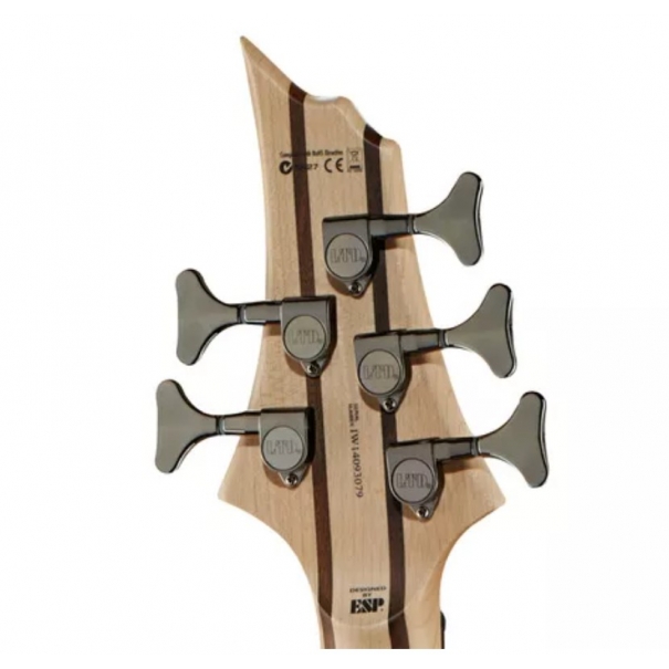 B205SM FL NS BASSO ELETTRICO 5 CORDE FRETLESS NA