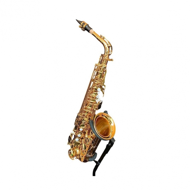 evolution alto sax gold laquered Bbrass 