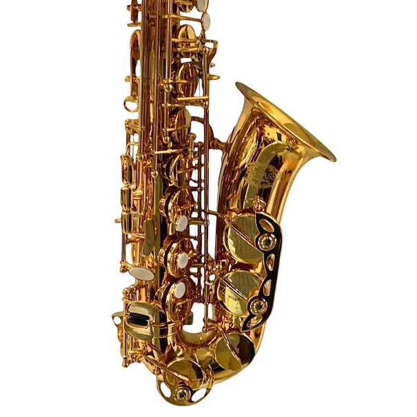 evolution alto sax gold laquered Bbrass 