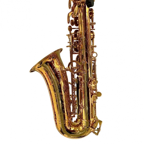 evolution alto sax gold laquered Bbrass 