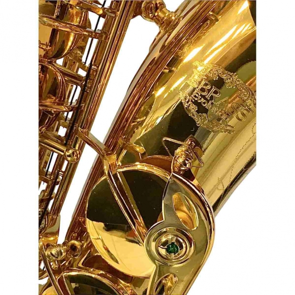 evolution alto sax gold laquered Bbrass 