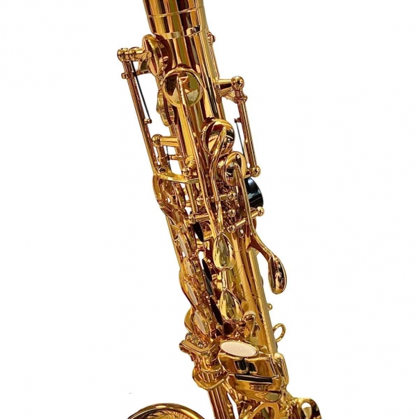 evolution alto sax gold laquered Bbrass 