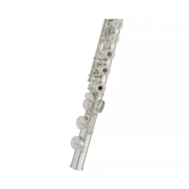 YAMAHA YFL-282 (B028YA176841)