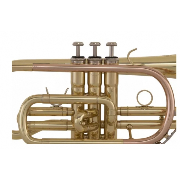 SC240 CORNETTA SIB RAMATA  (Prezzo valido solo con acquisto On Line)