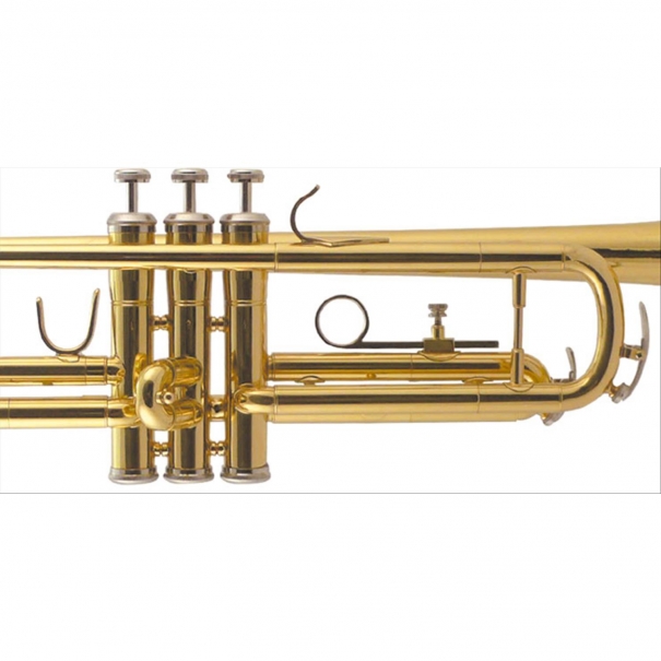 Tromba Sib Finitura Laccata (Custodia Sagomata Soft-Line)