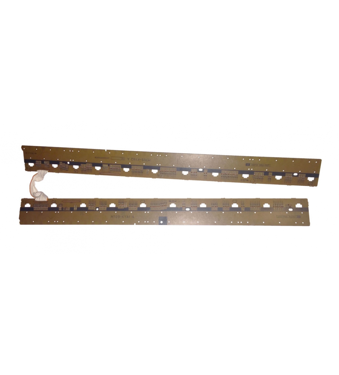 Gruppo schede contatti tasti (M709-KYA1 e M709-KYA2), per tastiera Casio a 76 note