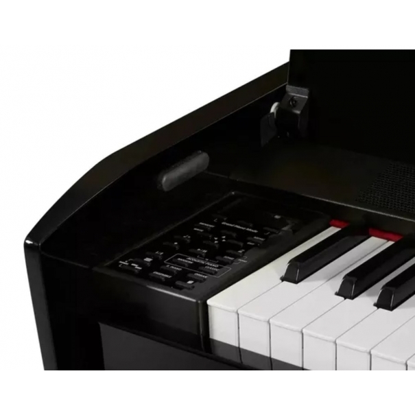 DEXIBELL Vivo H10 Polished Black