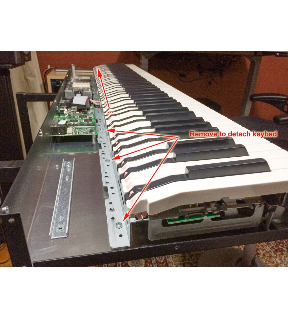Gruppo tastiera, per tastiera Nord a 61 note [B027NO152621]