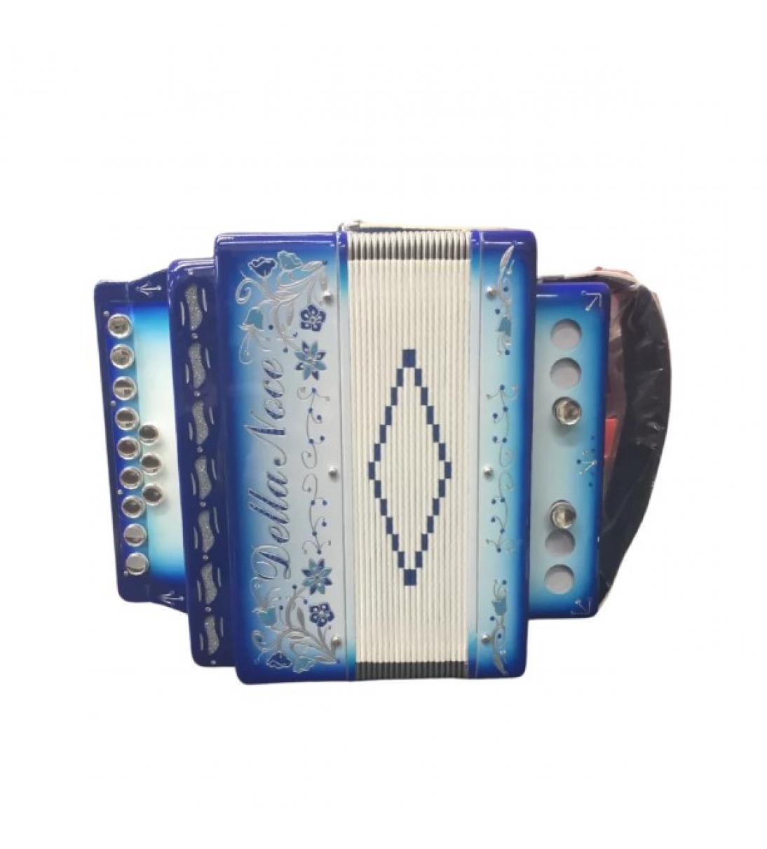 Superlusso Professionale verniciato Organetto 2 Bassi
