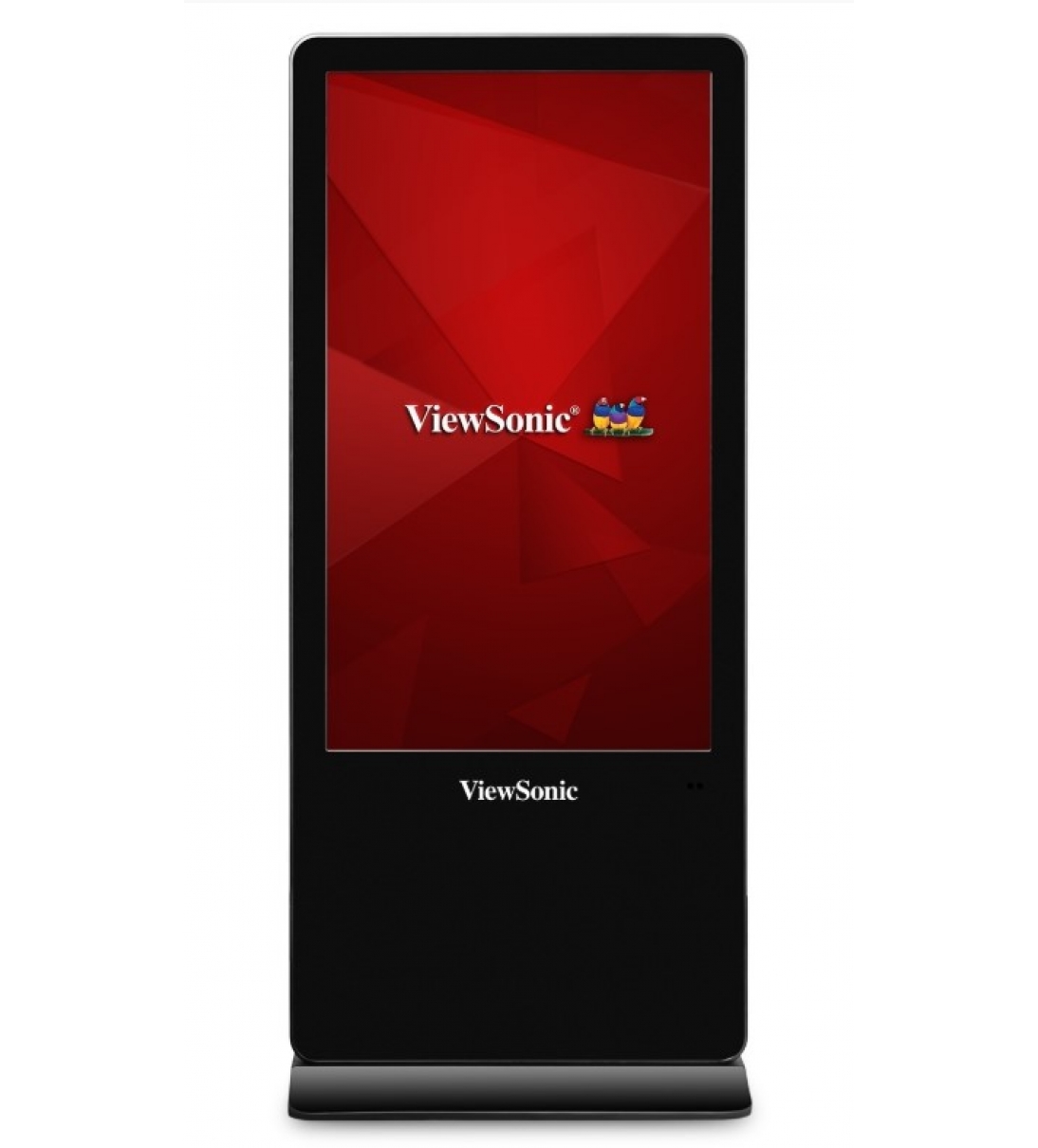 Totem ViewSonic EP5542 55"