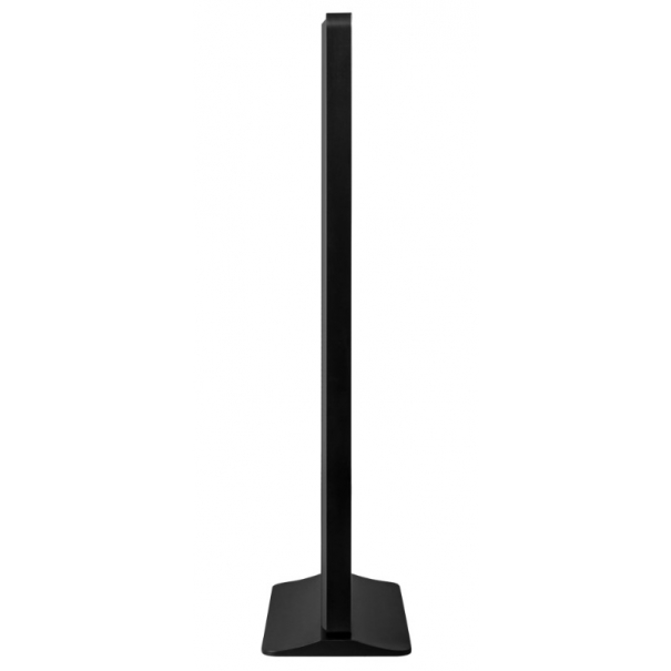 Totem ViewSonic EP5542 55"