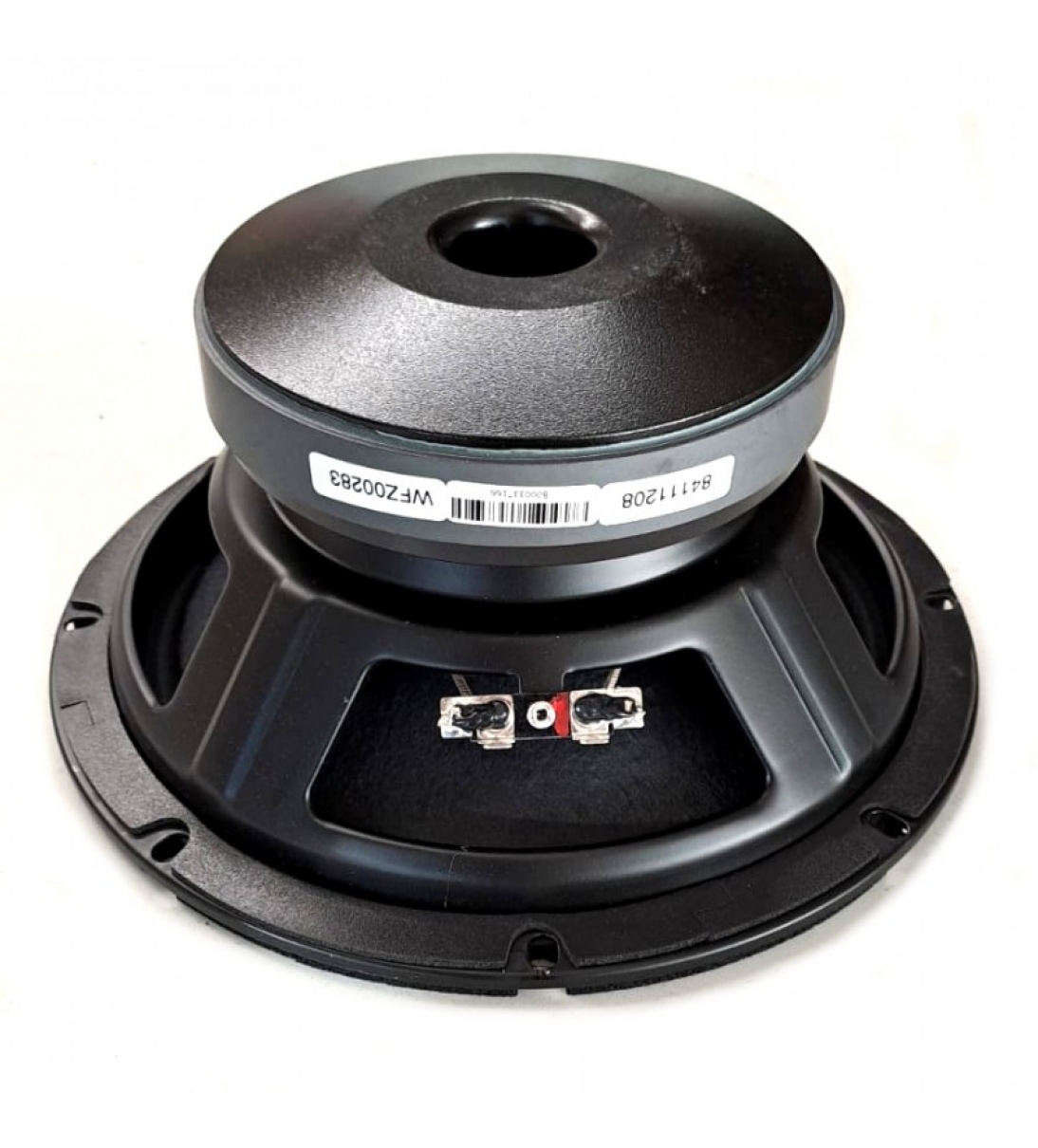MB10G251 MID-BASS 10" 8 Ohm HDL20A