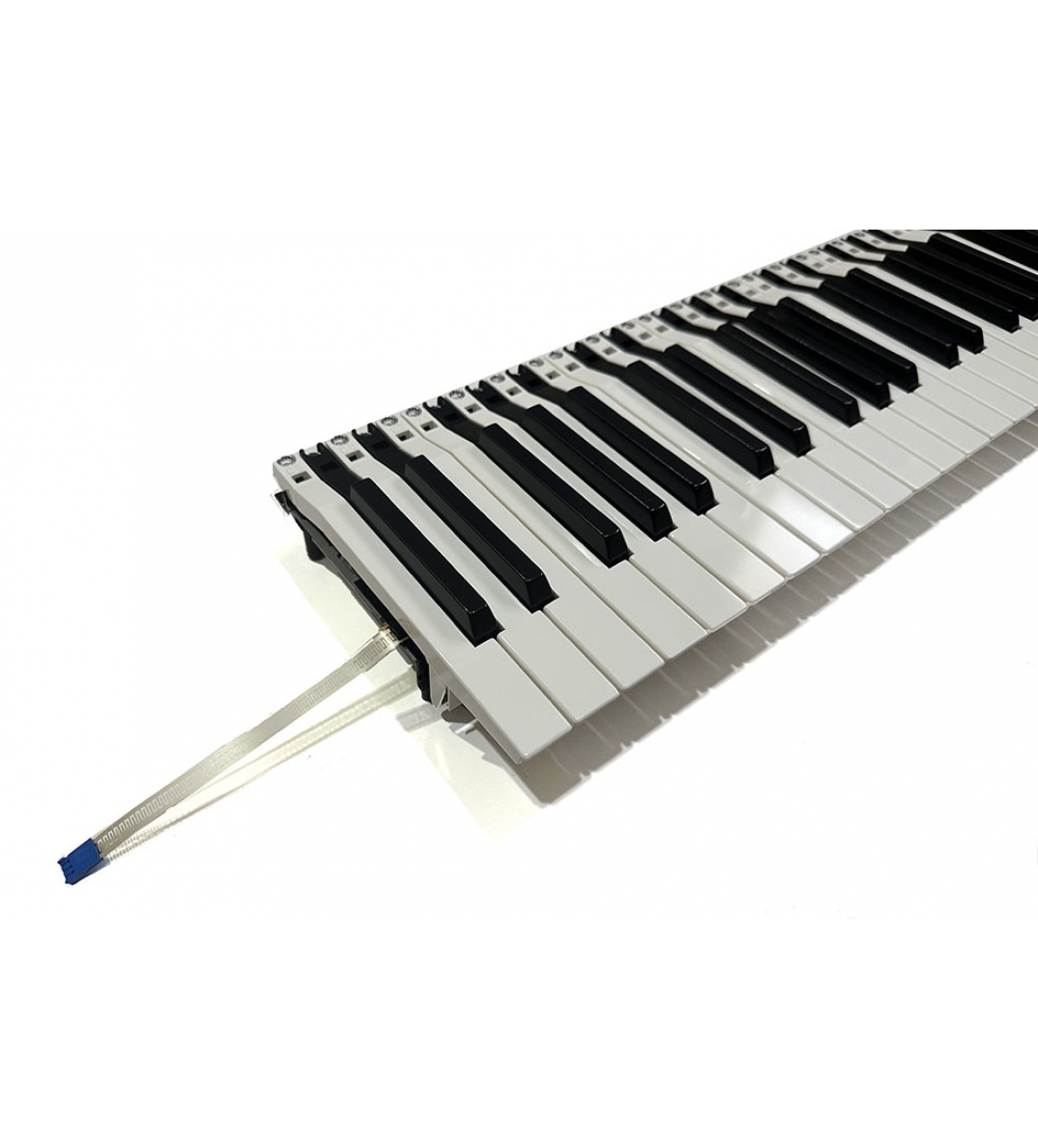 Tastiera per tastiera Korg a 61 note, Korg TAS0010024