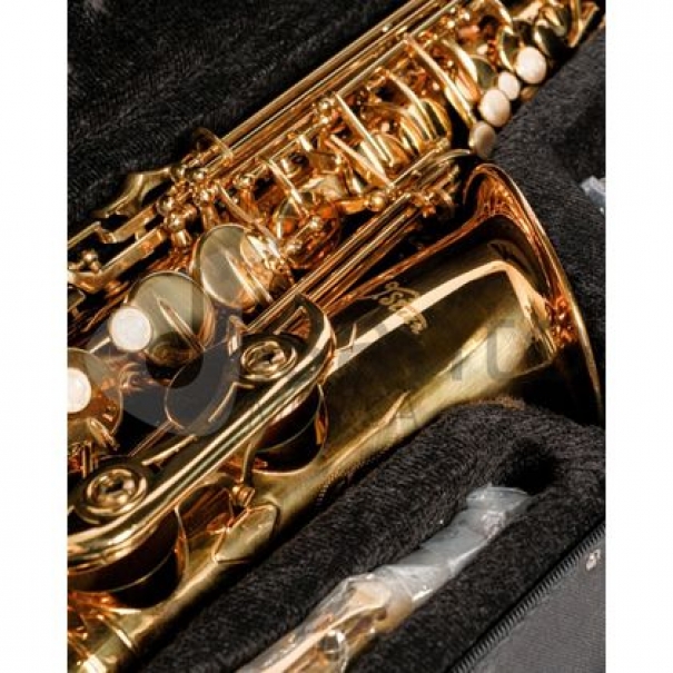 Sax Alto DAM completo di custodia