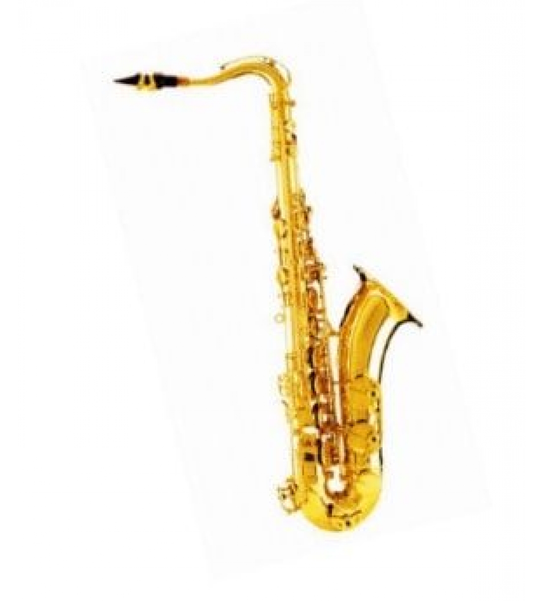 Sax Alto DAM completo di custodia