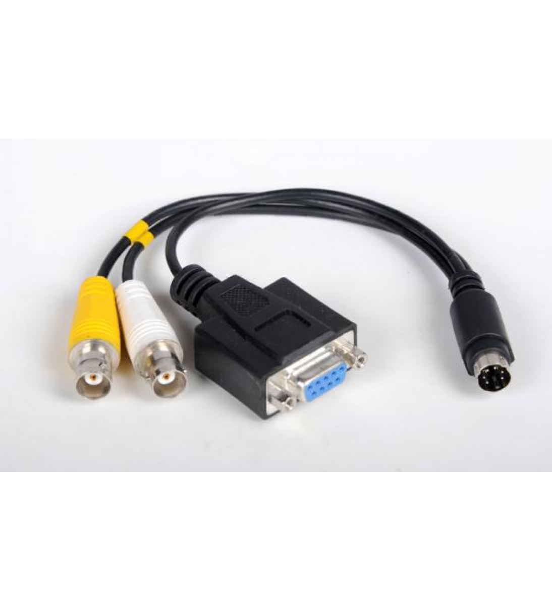 Korg WCL100 WORD CLOCK Cable, CWCC [CWCC]