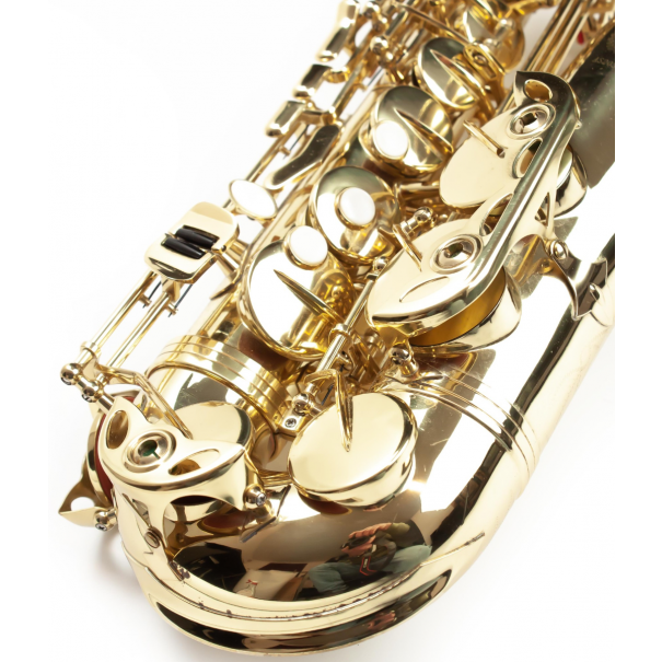 AS20SK Sax Contralto in Mib [B012GR196571]