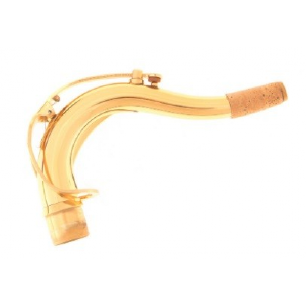 SST900 Sax Tenore in Sib