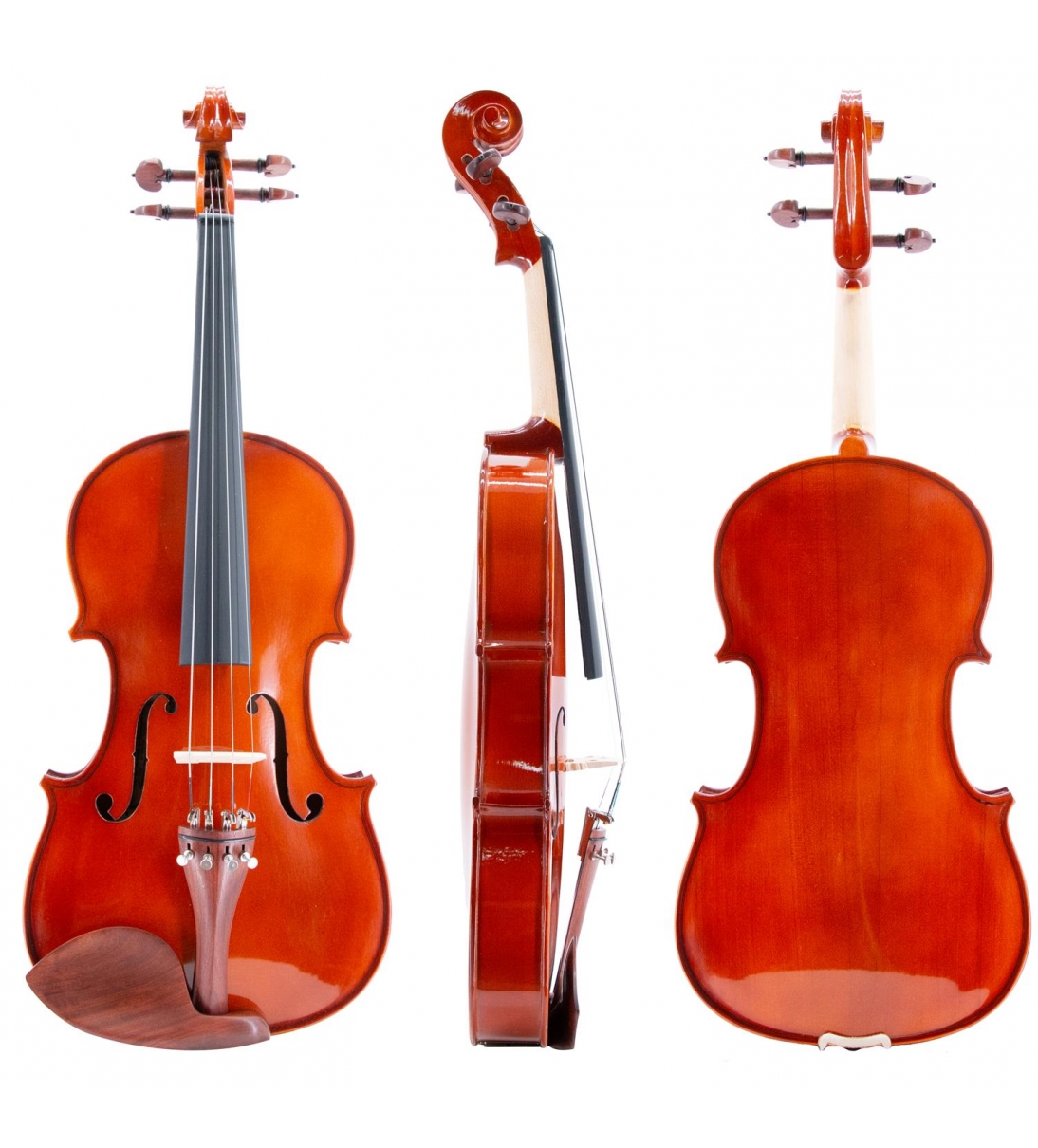  ffalstaff Viola da 39,4 cm Massello "Accademy" Finitura Lucida, parti in Palissandro (Custodia Sagomata)