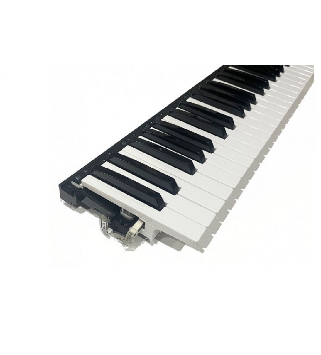 Gruppo tastiera per tastiera Korg a 61 note, è completa di piastre di contatto e strisce di contatto in gomma, Korg 510C80952903
